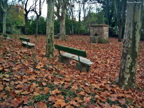 15 de Setembre de 2013 Font dels Dolors  Torá -  Carmen Aparicio