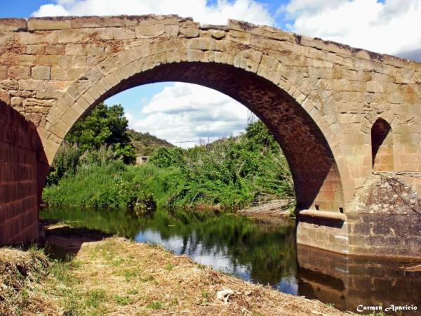 15 de Setembre de 2013 El pont de les Merites  Torà -  Carmen Aparicio