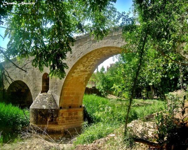 15 de Setembre de 2013 El pont de les Merites  Torà -  Carmen Aparicio