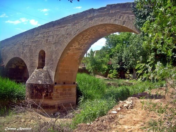 15 de Setembre de 2013 El pont de les Merites  Torà -  Carmen Aparicio