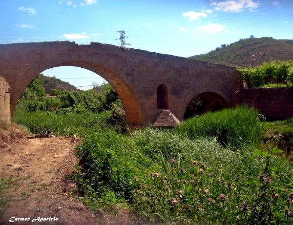 15 de Setembre de 2013 El pont de les Merites  Torà -  Carmen Aparicio