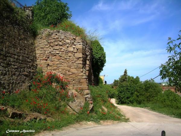 15 de Setembre de 2013 Muralla del castell  Torà -  Carmen Aparicio