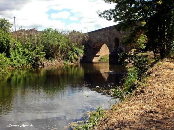 15 de Setembre de 2013 El pont de les Merites  Torà -  Carmen Aparicio