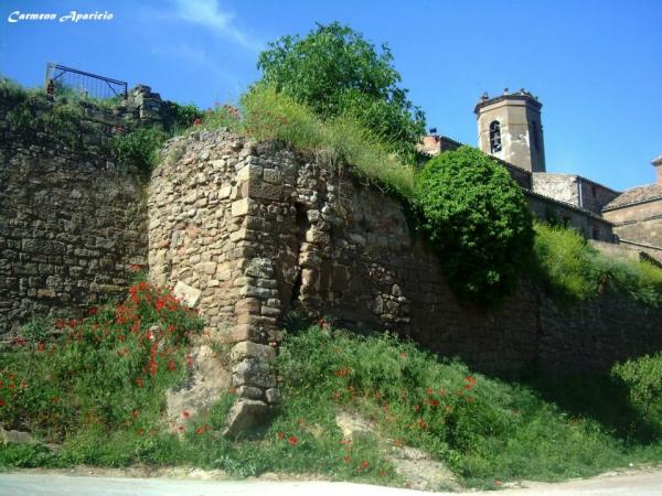 15 de Setembre de 2013 Detall de la muralla del castell  Torà -  Carmen Aparicio