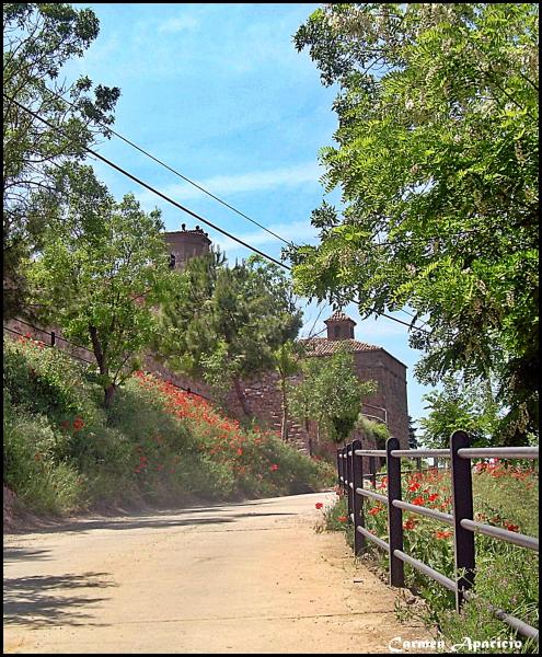 15 de Setembre de 2013 Carrer del Cementiri  Torà -  Carmen Aparicio