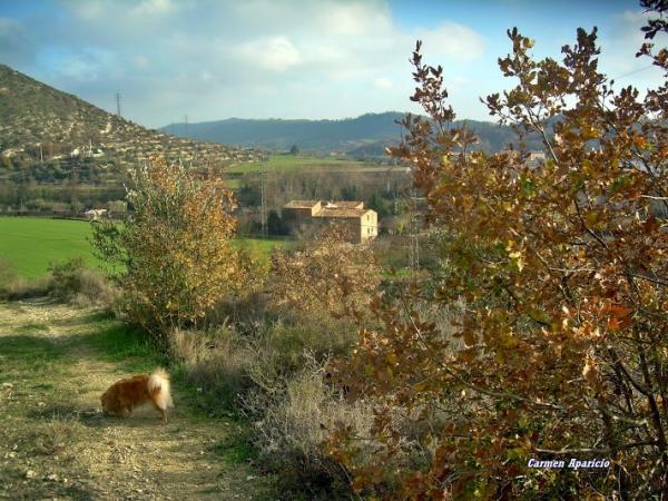 15 de Setembre de 2013 La Tardor  Torà -  Carmen Aparicio