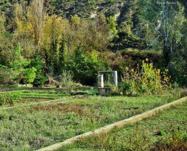 15 de Setembre de 2013 La Tardor  Torà -  Carmen Aparicio