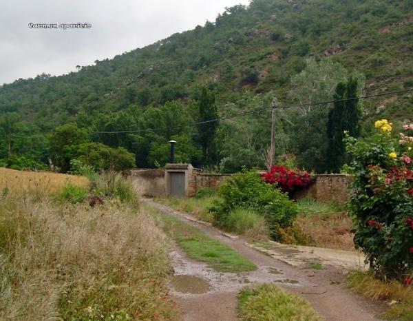 15 de Setembre de 2013 paisatge de Torà  Torà -  Carmen Aparicio