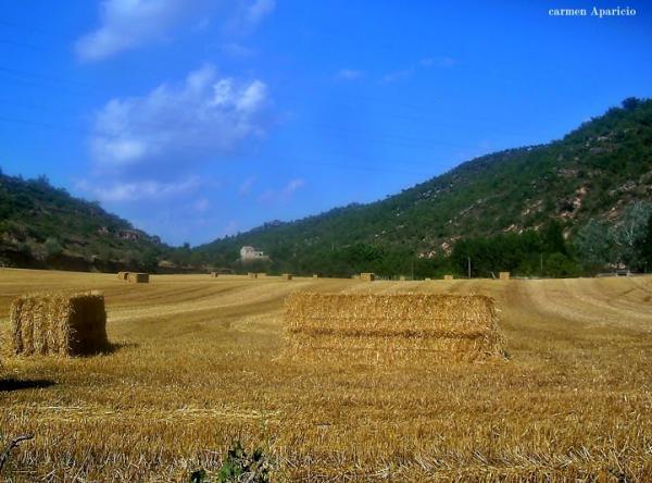 15 de Setembre de 2013 paisatge de Torà  Torà -  Carmen Aparicio