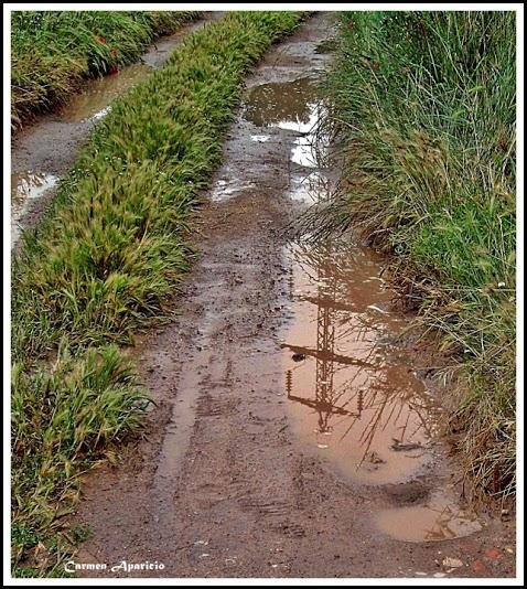 16 de Setembre de 2013 Després de la pluja, camí dels horts  Torà -  Carmen Aparicio