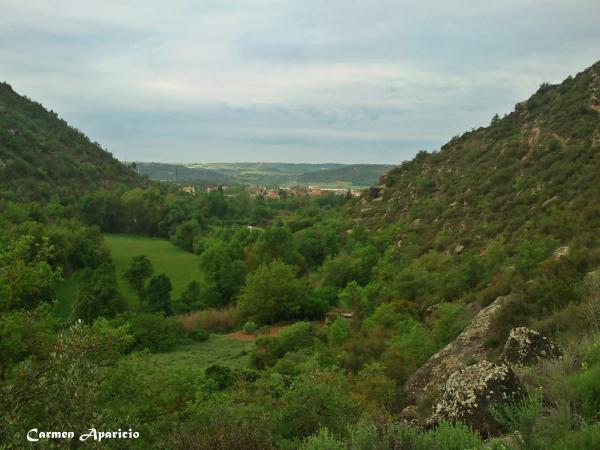 17 de Setembre de 2013 Torà al fons  Torá -  Carmen Aparicio