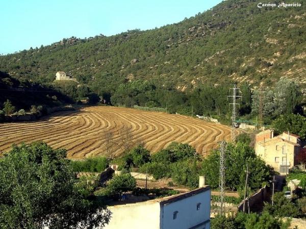 17 de Setembre de 2013 Vistes de Torà des de la meva finestra  Torá -  Carmen Aparicio