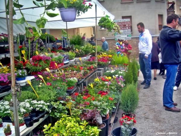 18.9.2013 Mercadal de Torà del 2012  Torà -  Carmen Aparicio