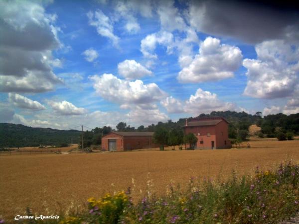 18 de Setembre de 2013 Paisatges de Torá  Torá -  Carmen Aparicio