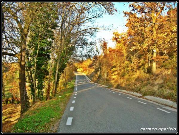 23 de Setembre de 2013 Carretera de Solsona  -  Carmen Aparicio