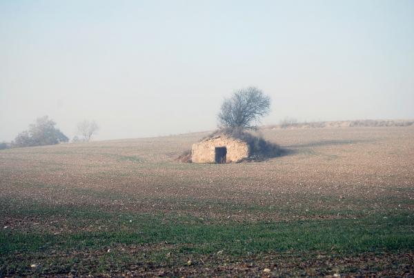 15 de Desembre de 2013 Cabana i sembrats a l'hivern  Torà -  Ramon Sunyer