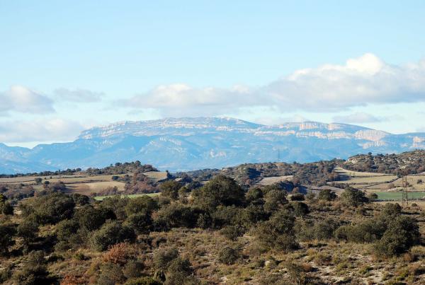 26 de Desembre de 2013 La vall amb el Montsec al fons  Biosca -  Ramon Sunyer