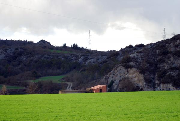 24 de Març de 2014 Els verds esclaten a la primavera  -  Ramon Sunyer