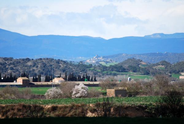 24 de Març de 2014 Ribelles al fons  -  Ramon Sunyer