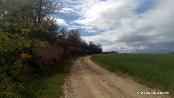 27 de Abril de 2014   -  Josep Gatnau