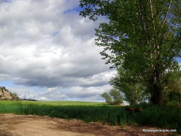 28 de Abril de 2014   -  Josep Gatnau