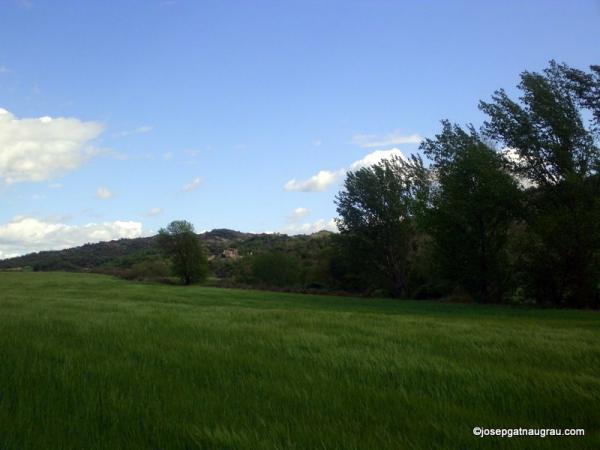 28 de Abril de 2014   -  Josep Gatnau