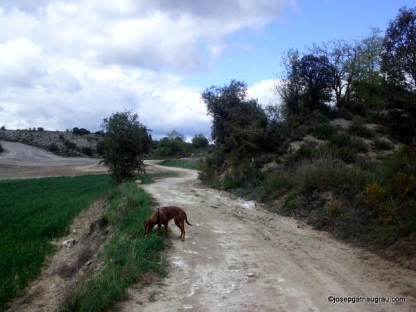 28 de Abril de 2014   -  Josep Gatnau