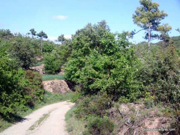 29 de Abril de 2014 Vall de Cellers  -  Josep Gatnau