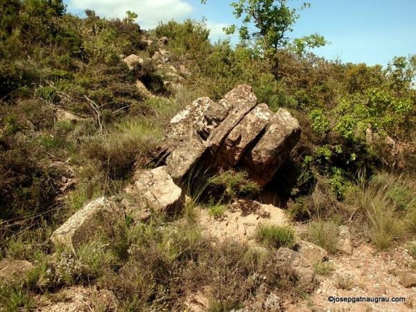 29 de Abril de 2014 Vall de Cellers  -  Josep Gatnau