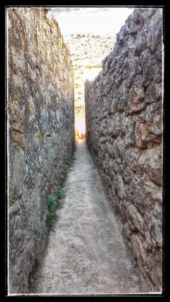 14 de Agost de 2014 camí de pas  Torà -  Ramon Sunyer