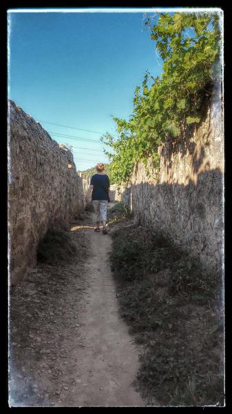 21 de Agost de 2014 passejant  Torà -  Ramon Sunyer