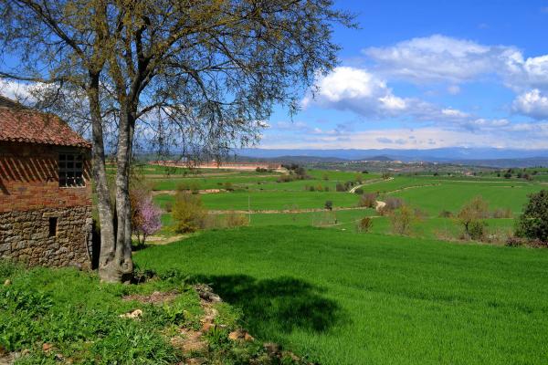 18 de Novembre de 2013 Paisatge  Vilamajor -  Àngela Llop