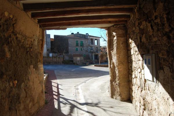 Vila vella portals i carrers - Autor Ramon Sunyer (2014)