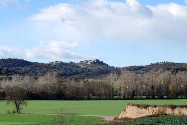 30 de Desembre de 2014 vista de l'Alzina  Ribelles -  Ramon Sunyer