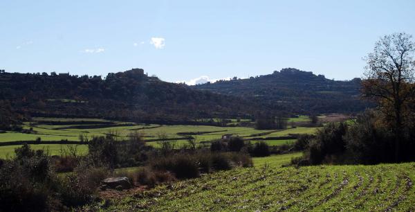 30 de Desembre de 2014   Granollers -  Ramon Sunyer