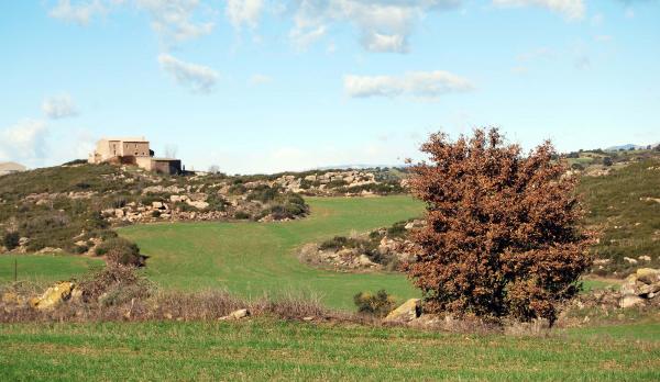 30 de Desembre de 2014 mas  Granollers -  Ramon Sunyer