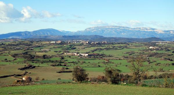 30 de Desembre de 2014   Granollers -  Ramon Sunyer