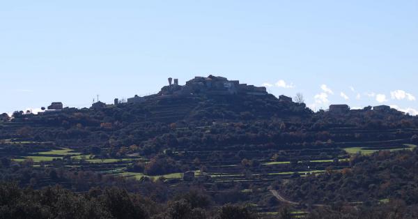 30 de Desembre de 2014 Vista de Palou  Selvanera -  Ramon Sunyer