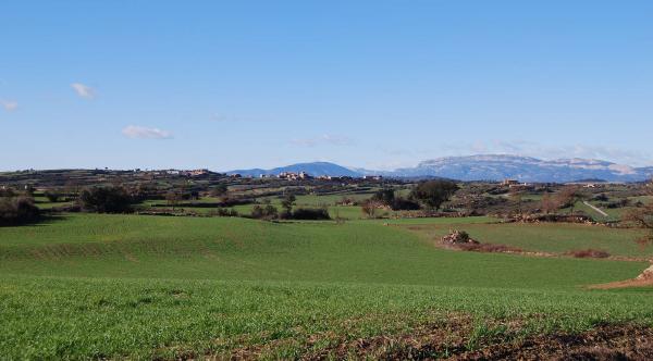 30 de Desembre de 2014 paisatge  Vilalta -  Ramon Sunyer