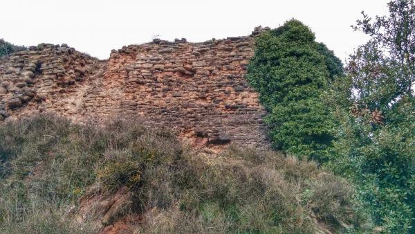 16 de Gener de 2015 Restes del castell  Cellers -  Ramon Sunyer