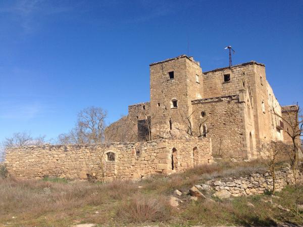 28 de Febrer de 2015   Claret d'Oliola -  Jordi Oliva