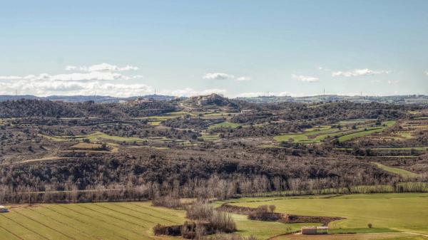 22 de Febrer de 2015 Vist del Llobregós i l'Alzina  Ribelles -  Ramon Sunyer