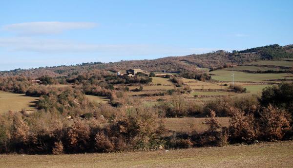 26 de Gener de 2015 Paisatge  Ardèvol -  Ramon Sunyer