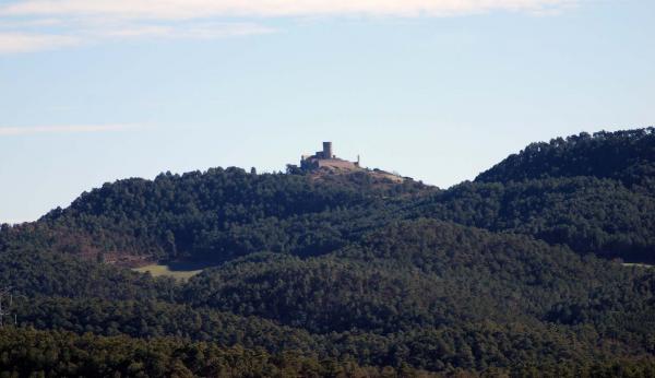 26 de Gener de 2015 Castell  Boixadors -  Ramon Sunyer