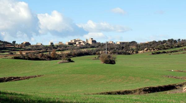 30 de Desembre de 2014 Vista general  Vilalta -  Ramon Sunyer