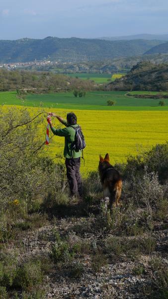 25 de Abril de 2015 Senyalitzant la caminada popular de 2015  Torà -  Xavi