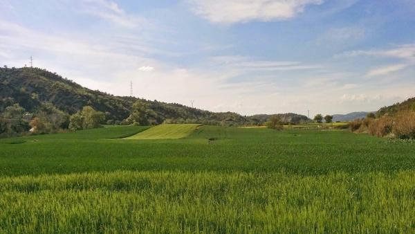 26 de Abril de 2015 sembrats  Castellfollit de Riubregós -  Ramon Sunyer