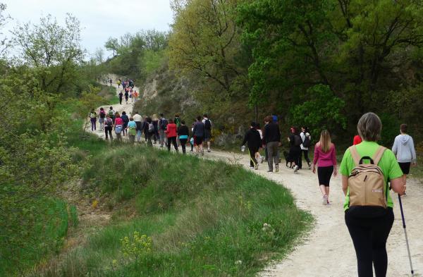 26 de Abril de 2015 Pels enconills  Torà -  xavi