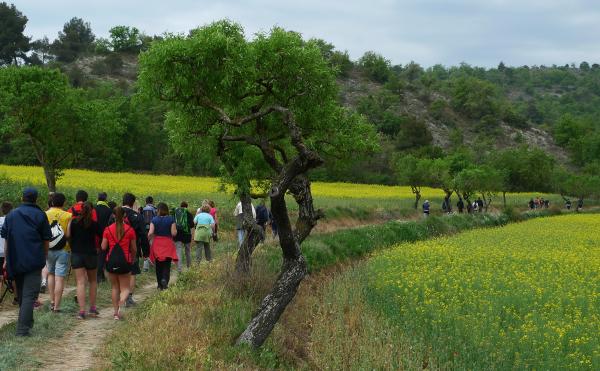 26 de Abril de 2015 Enconills  Torà -  xavi