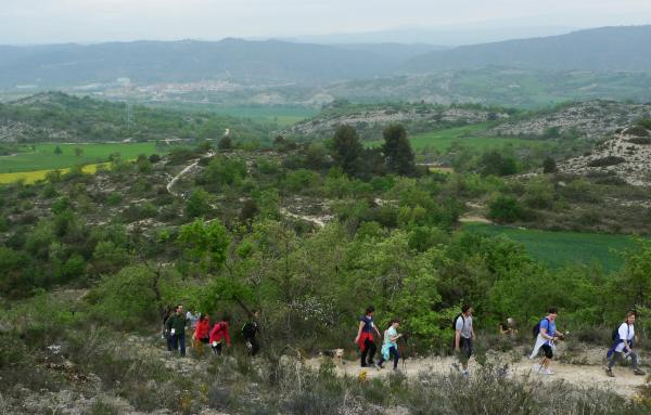 26 de Abril de 2015 Al fons Torà  -  xavi